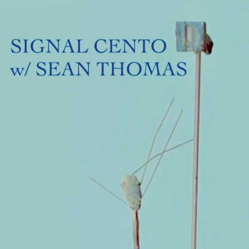 Signal Cento w/ Sean Thomas - 06April2025