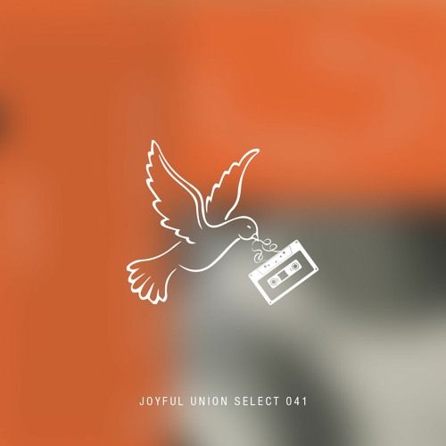 Joyful Union Select 041