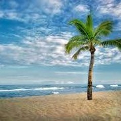 Palmtree Toupee Trash (EJP Official x Neon)-A story of hatred, romance, lust, deception, and denial.