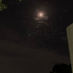 환상