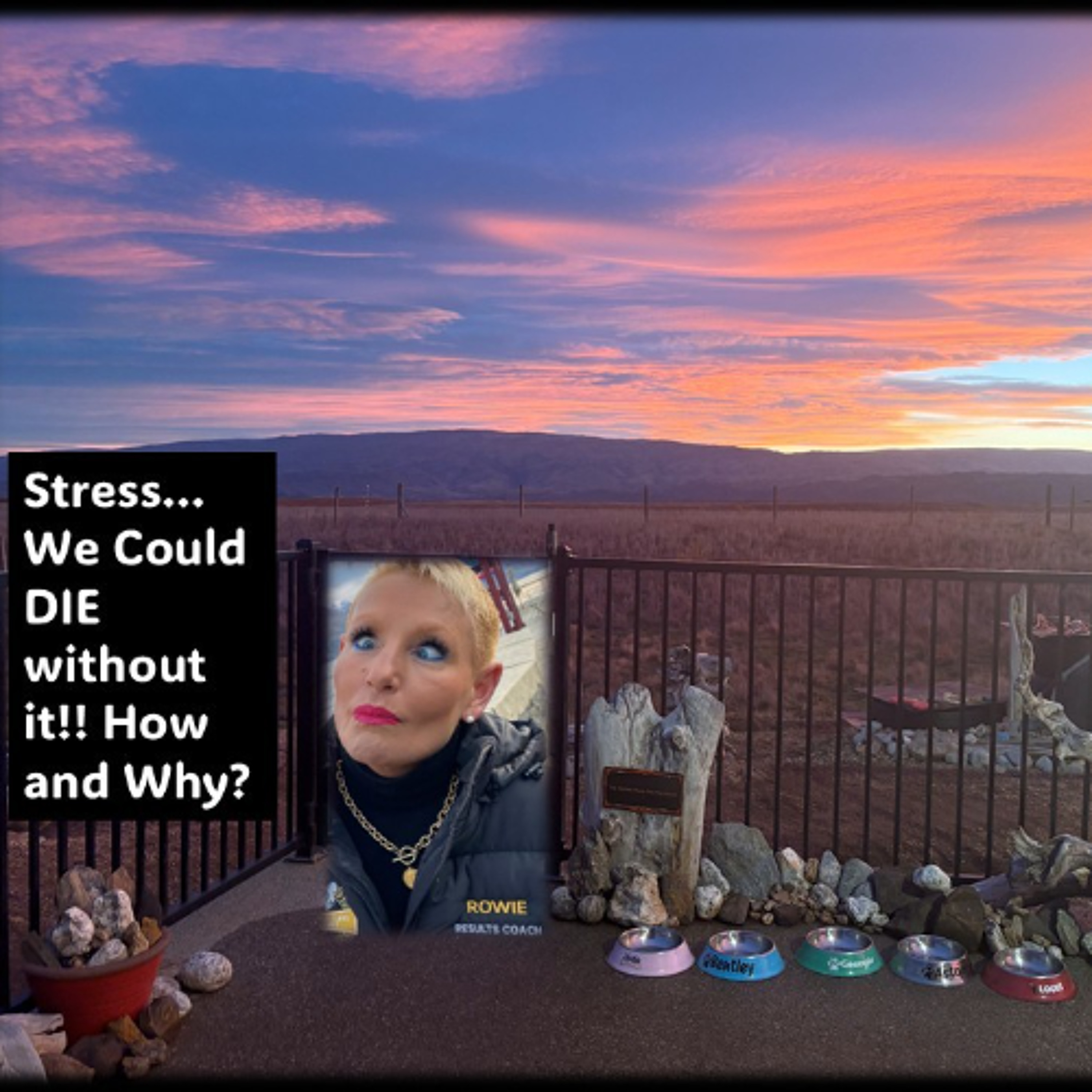 Stress- We could die without it!! WHY and HOW...with Rowie McEvoy