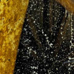 Improvisation on : une Barque sur l'Ocean