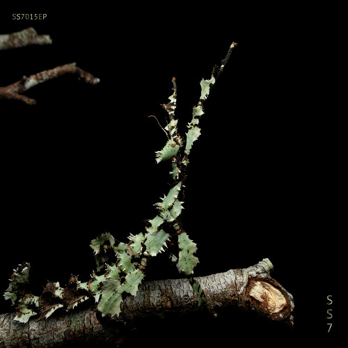 PREMIERE: Truxx - Array of Light [SS7.015EP]