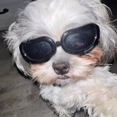 The Weeknd & Ariana Grande - Die For You (Childish Wave Remix)