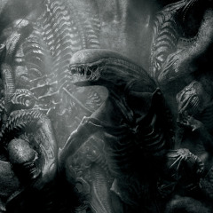 dying on the dance floor