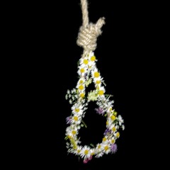 ❝𝐀 𝐓𝐚𝐥𝐞 𝐨𝐟 𝐁𝐢𝐫𝐝𝐬 𝐖𝐢𝐭𝐡𝐨𝐮𝐭 𝐚 𝐕𝐨𝐢𝐜𝐞❞