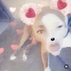 😂
