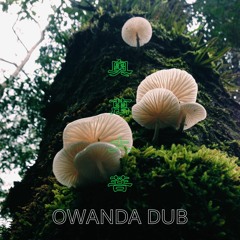 Owanda Dub demo