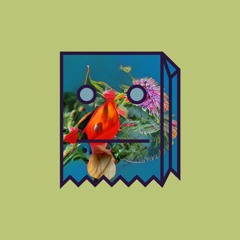 Mr FijiWiji - Teenage Birdsong (Four Tet Cover)