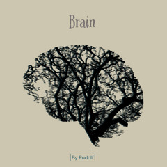 Brain (By Mr Rudolf)