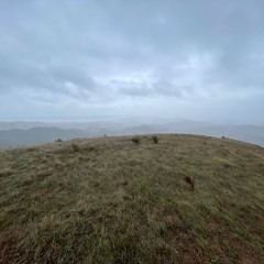 Chill in the garage get it ready