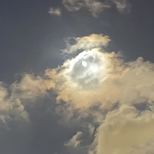 Stream Lana Del Rey Cinnamon Girl by 𝐌𝐎𝐍𝐎𝐂𝐎𝐒𝐏𝐋𝐀𝐘𝐘 Listen online for