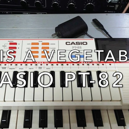 She Is A Vegetable - Casio PT-82