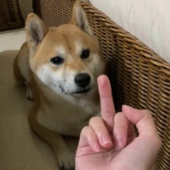 4u