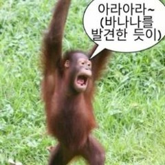" 2022년 "