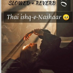 DEWANO Slowed Reverb | Thai ishq-e-Nashaar