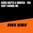 David guetta & morten - You can't change me (Ronix remix)