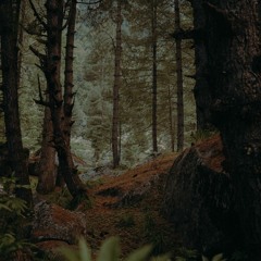 Mustafa Gilani -  Dil Chahay (Rock Version)