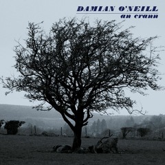 Stereo Embers The Podcast 0337: Damian O'Neill (The Undertones, That Petrol Emotion)