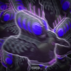 MIA 2. [CACERE$]