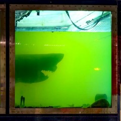 Burra Mixcloud - 25-7-20