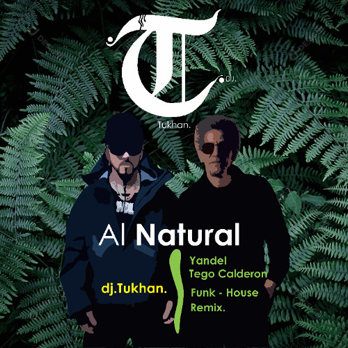 al natural (Remix tego calderon Yandel x Tukhan) Funk - House