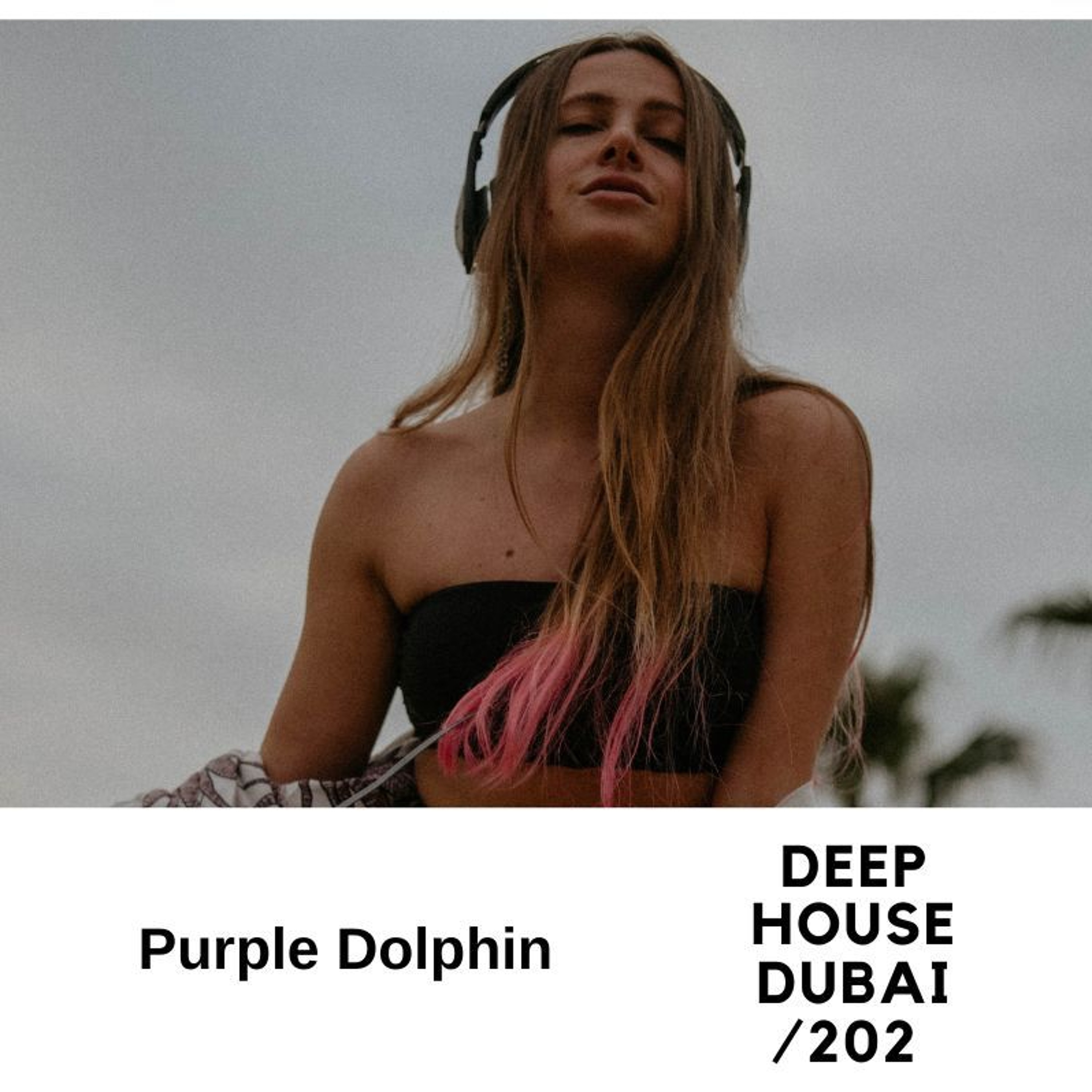Purple Dolphin - DHD 202 (January 2024)