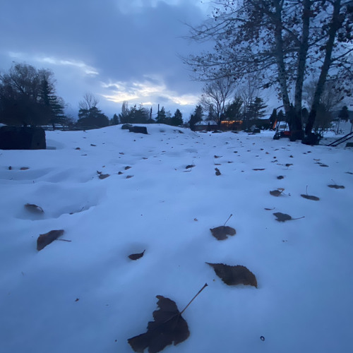 A Haunting (free videogame loop)