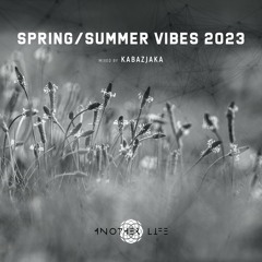 Spring / Summer Vibes 2023 [Another Life Music] compiled & mixed by Kabazjaka