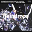 Raindrops (whazam remix)