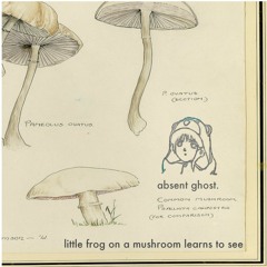 Frog On A Mushroom Learns To See