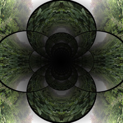 Forest Morphtape 147-150bpm