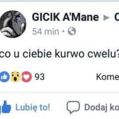 turkowski cweluszek