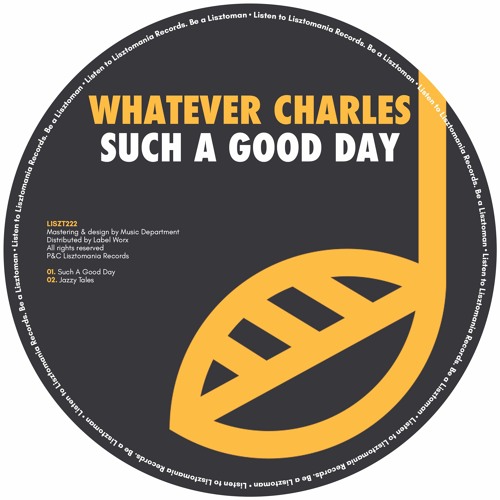 PREMIERE: Whatever Charles - Such A Good Day [Lisztomania Records]