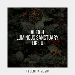Like U (Extended Mix)