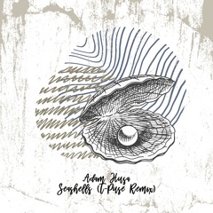 Adam Husa - Seashells (T-Puse Remix) [trndmsk]