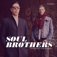 Lovebirds ft. Stee Downes - Soul brothers