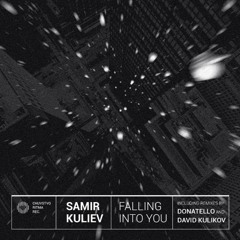 Samir Kuliev - Falling In To You (David Kulikov Remix)