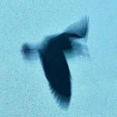 cant get rid of me (prod tiresss)