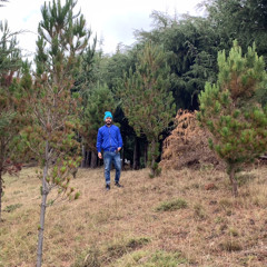 Other Places (Instrumental)