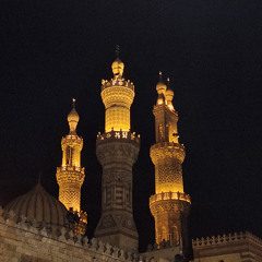 دعاء الوتر - تراويح١١  رمضان ١٤٤٦
