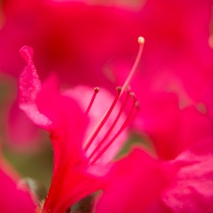 My Foolish Heart (Solo Gtr Instrumental)