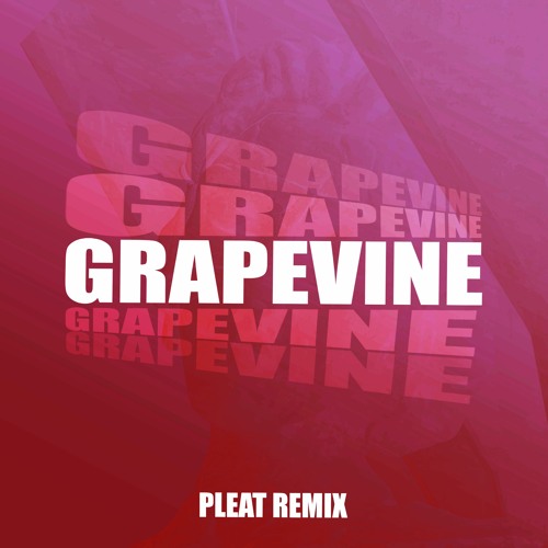 Marvin Gaye - I Heard It Through The Grapevine (Pleat Remix)