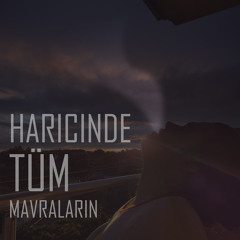 Haricinde Tüm Mavraların