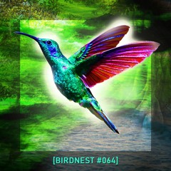 BIRDNEST #064 | Deepest World | Podcast by The Lahar
