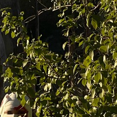 It’s been too long since I’ve smiled.