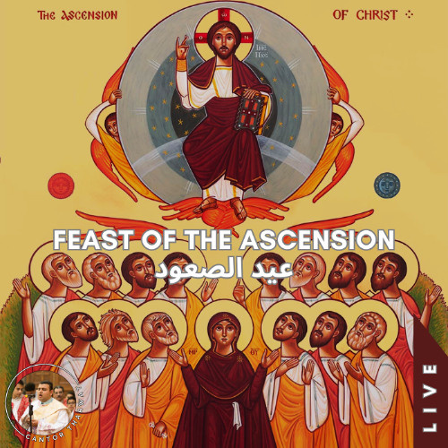 Pachois ♱ Ascension (Live) باشويس ♱ الصعود