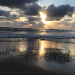 Barbara Canals Dolphin & Unicorn  Light Language sharing