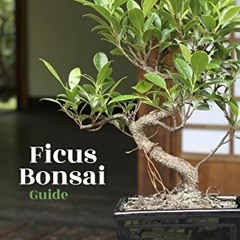 [PDF] ❤️ Read Ficus Bonsai Guide by  Bonsai Empire &  O. Jonker