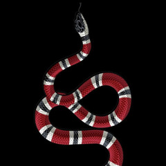 HellaBand$ -LOCKDOWN Ft. Lil Bandd